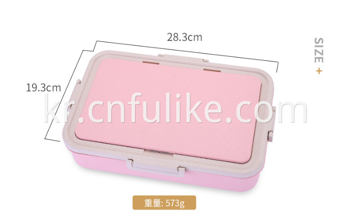 Plastic Lunch Box